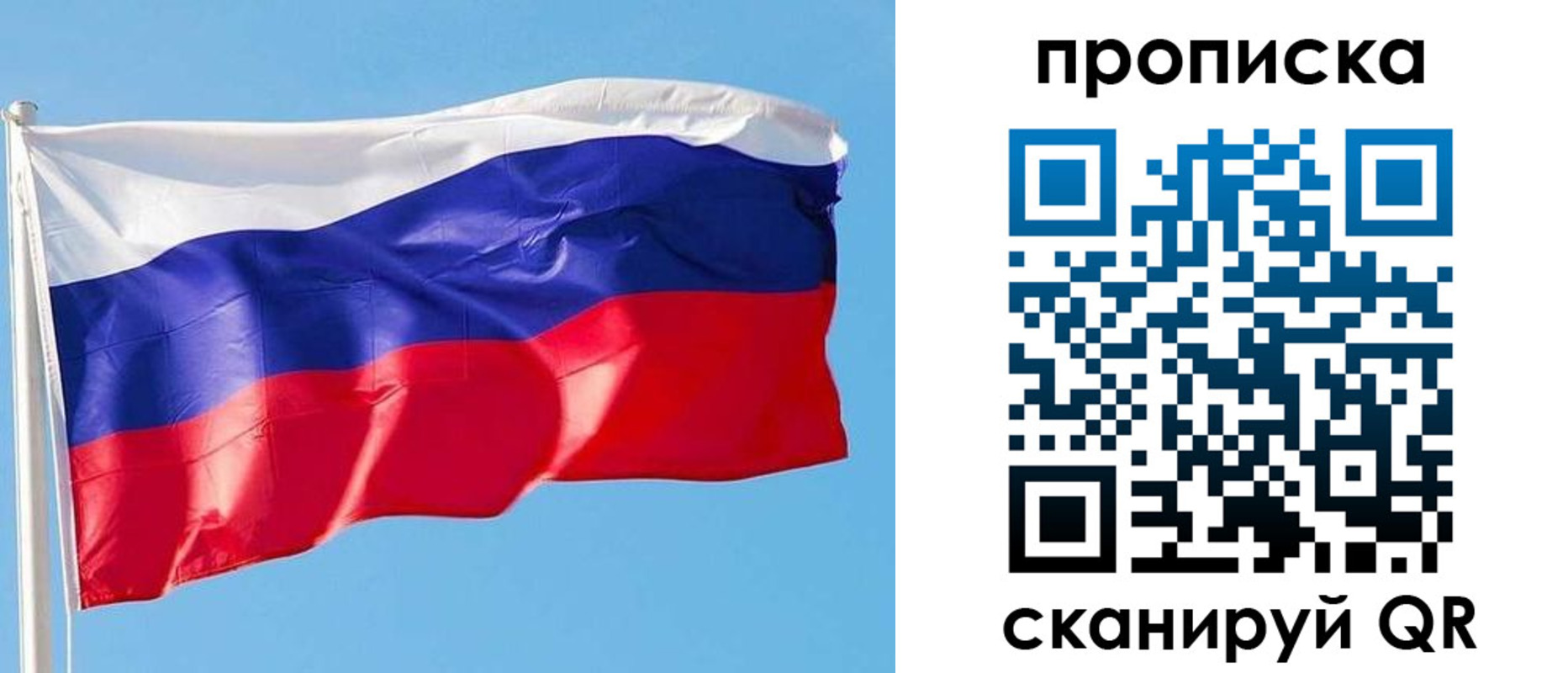 прописка поиск в Касимове